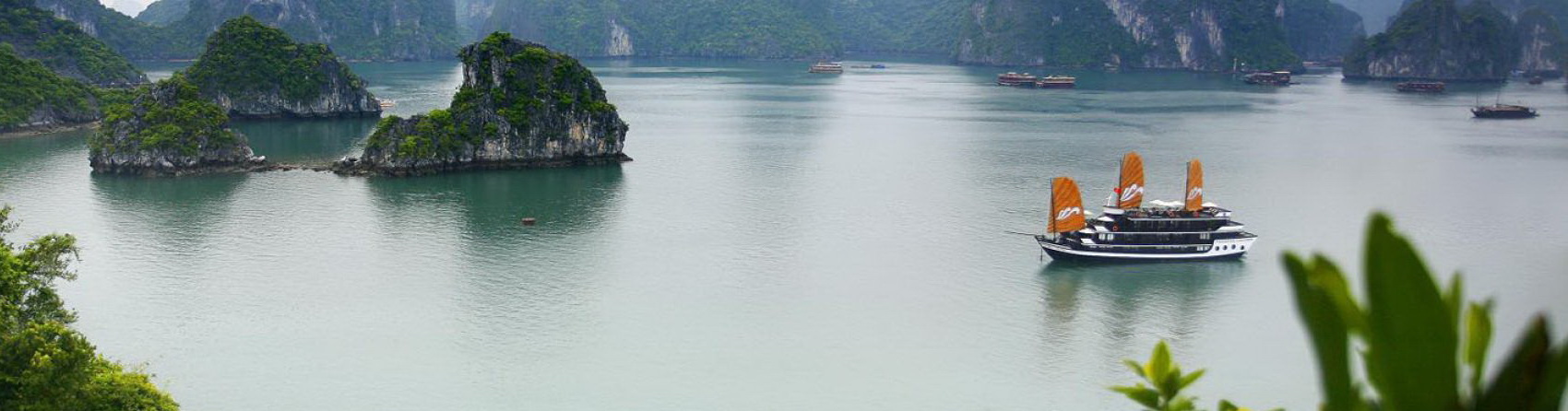 Thuê tàu Hạ long