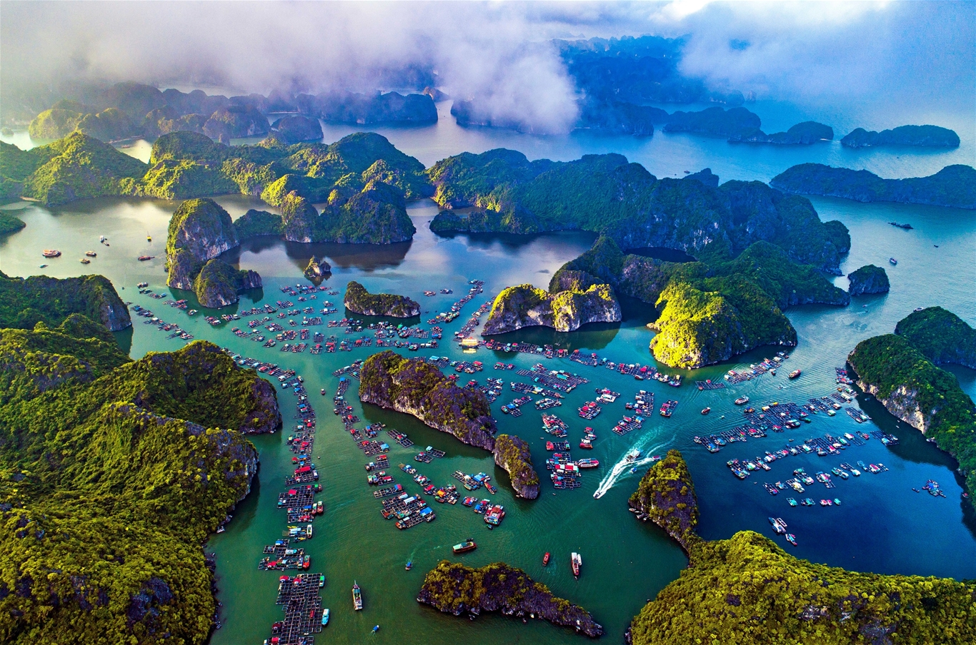 Bảng giờ tàu và giá vé tàu cao tốc Cat Ba Island hè 2024